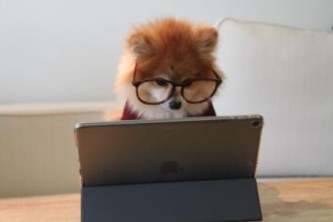 软件开发mac 软件开发mac好还是windows好